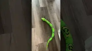 Robo alive(robotic snake) #snake #python #cobra #shorts #shortsvideo