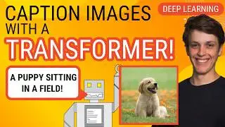 Captioning Images with a Transformer, from Scratch! PyTorch Deep Learning Tutorial