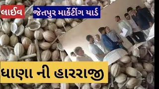 ધાણા ની હારરાજી લાઈવ જેતપુર માર્કેટીંગ યાર્ડ તા 01.07.2023 | Live thana ni harraji Jetpur marketing