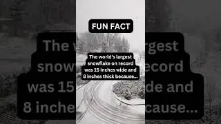 Do you believe this? #funfacts #snow #shorts