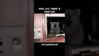 А НУКа Пошел в спортзал!!! БЫСТРО!!!