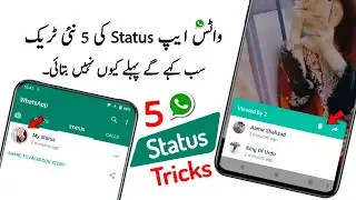5 Whatsapp Status New Cool Tips & Tricks