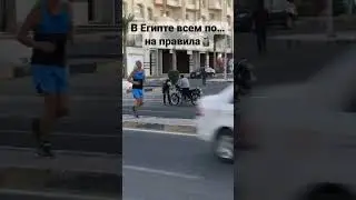 ПДД в Египте не нужны