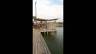 Bugil di empang