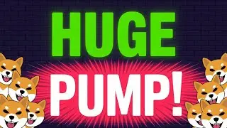 SHIB News Today: Twitter Logo Switch Sparks Meme Coin Volatility