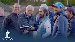 Tattersalls October Yearling Sale, Book 1 Day 1 Review 2023