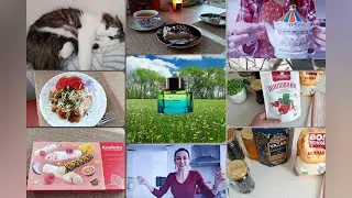 ВЛОГ: на кухне | странные духи | интересные каналы