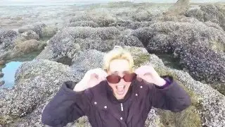 Low Tide with Princess