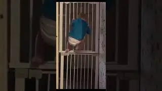 Малыш не уседит на месте