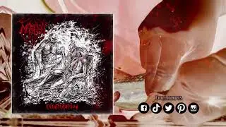 MAGEFA -Exenteration [Official Lyrics Video]