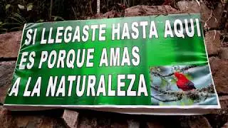 CASCADAS DEL MILAGRO, LA MANÁ**Conociendo Un Lugar Diferente De Ecuador**