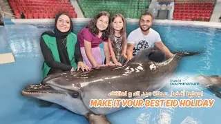 Make it your Best Eid Holiday | Fun Day with Dolphins | Family Discounts Available