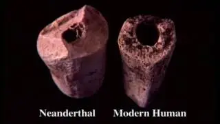 В поисках неандертальцев