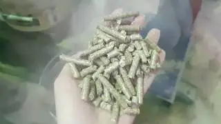 Гранулятор пеллет Соловей 6