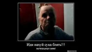 V.P-Жалобная бабушка и Валентина Петровна