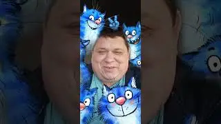 Мы с котятками
