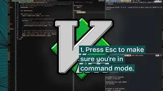 How to Undo A Vim Edit