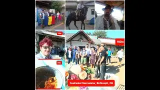 Olt. Haiduci, cai, sarmale și voie bună la Conacul Cailor din Bobicești