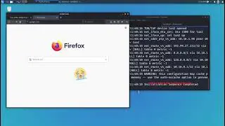 Kali Linux - IP adresi ve DNS değiştirme | Openvpn & Google Dns