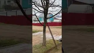6 мая 2023 год Никольск