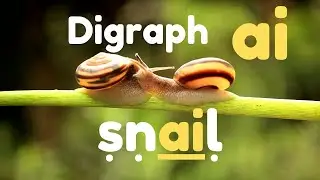 Digraph /ai/ | Phonics Lesson for Kids 