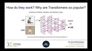 AI and Health: Transformers. Dr Frank Soboczenski, University of York