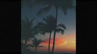 [FREE] Afrobeat Type Beat x Dancehall Type Beat x Reggaeton - Altair