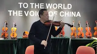 Handmade professional violin DY-01-051