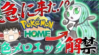 色違いメロエッタ解禁？！マジで急すぎるし超大変な色違いメロエッタを受け取りたい！！【ポケモン・ゆっくり実況】
