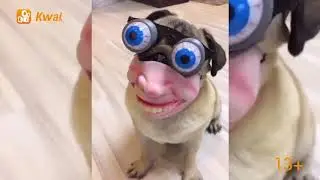Яркие уникальные видео！Заходи в Kwai!