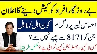 Ehsaas Labour Programe | Ehsaas Unemployment Program | Online Registration Process | Web Portal