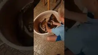 Щука-рекордсмен 