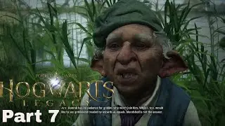 Hogwarts Legacy - Part 7 - Full Walkthrough