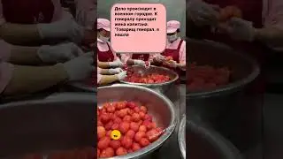 Анекдот ПРО палево #приколы #смех #анекдоты #шутки #юмор