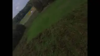 CRASH DUE TO A LEAF