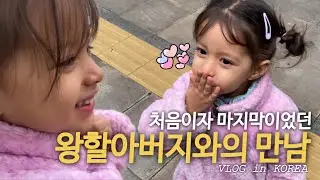 처음이자 마지막인 왕할아버지와의 만남 | 생애 처음으로 버스와 전철을 타 봤어요 | 청계천 나들이 | 라일라의 한국 일상 🇰🇷 | 국제가족