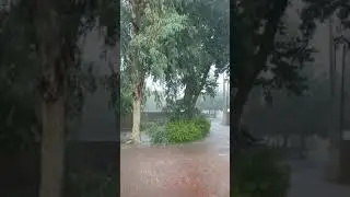 Its Raining today