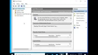 Using the Overview and Summary Display