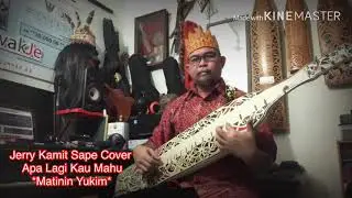 Jerry Kamit Sape Cover || Apa Lagi kau Mahu-Matinin Yukim@ DJ My