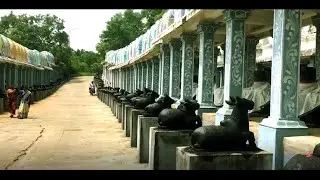 1008 Lingam Temple [ Salem, Tamil Nadu, India ]