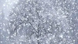 Snowfall Snowfall Cha