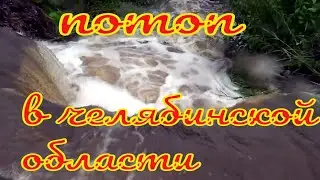 Потоп в Челябинской области 27.07.24.Что натворили дожди?