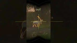 Very Rare DIAMOND Beside a RARE!!! - Call of the Wild 