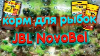 Корм для рыбок JBL NovoBel. Чем кормить аквариумных рыбок.