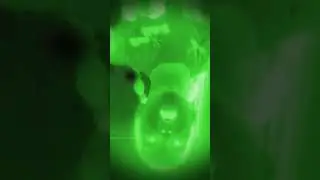 28 сентября 2024 г.