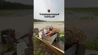 🦞ARE YOU SURE ABOUT THAT?! #louisiana #crawfish #job #occupation #farmer