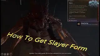 Baldur's gate 3 How to get the Slayer form and achievement :Embrace ur urge