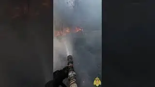 Горит мусор в лесном массиве