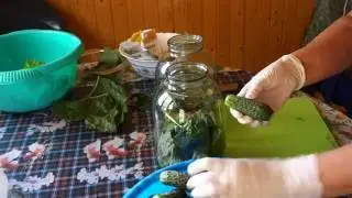 Самый простой и надежный способ засолки хрустящих ОГУРЦОВ (71 05.07.16)