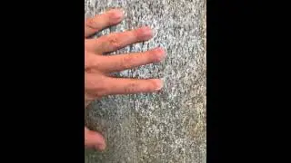 Каменный шпон РЕПИНО ПАРК #shorts